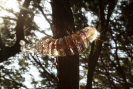 Maison Pelletier-Ferruel